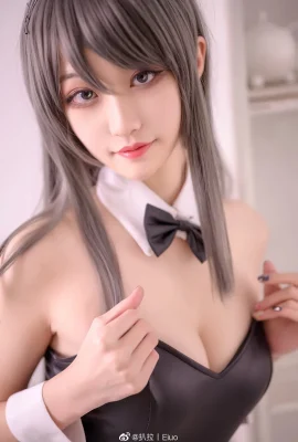 A young pig-headed boy will not dream of a bunny girl senior @沧霁桔静(9P)
