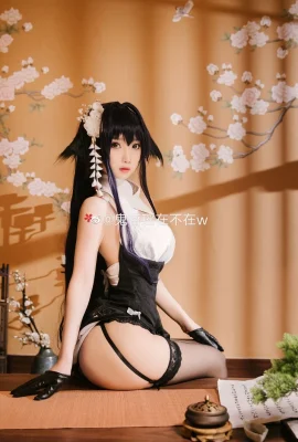 Azur Lane My Wife @鬼兽瑶在不是w (10 photos)