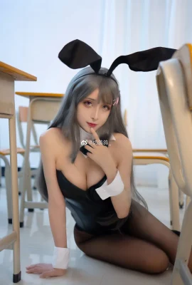 Rascal Does Not Dream of Bunny Girl Senior Sakurajima Mai @元气小奶狮 (10 photos)