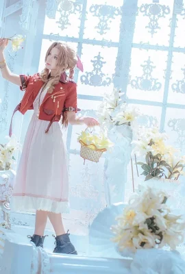 Final Fantasy 7 Remake Aerith / Aerith @Arya_肉肉 (9 photos)