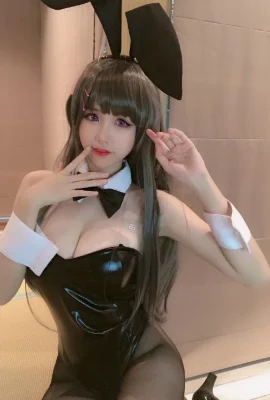 Rascal Does Not Dream of Bunny Girl Senpai Sakurajima Mai Bunny Girl @miko sauce ww (11 photos)