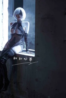 NieR: Automata 2b Fan Cheongsam @Autumn and Corgi (9 photos)
