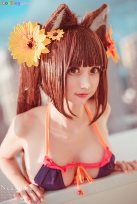 Okita Rinka – Chocola Swimsuit