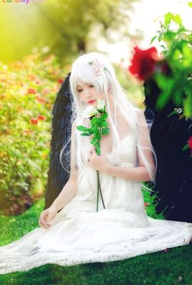 Hana Bunny – Angel