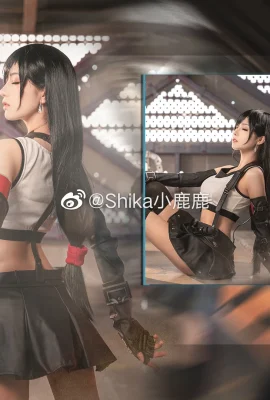 Final Fantasy 7 Tifa Lockhart @Shika小鹿鹿 (9 photos)