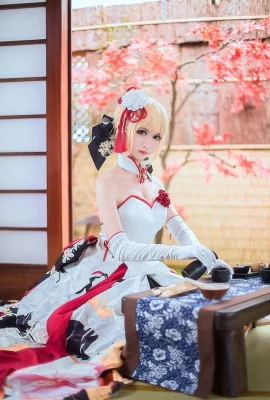 Fate/Grand Order Altria Pendragoncn: Eel Feier (13 photos)