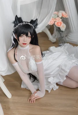 Azur Lane Atago Dog @樱落Selena_ (10 photos)