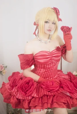 Fate/extella Nero Claudius @cat field prince (9 photos)