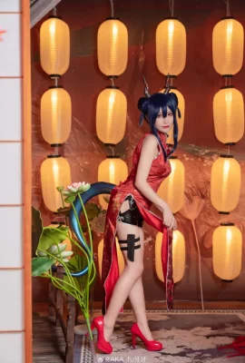 Arknights Chen @AKA_fu牙牙 (11 photos)