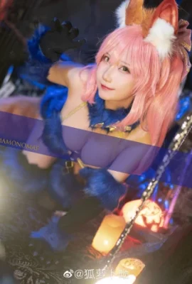 FGO Tamamonomae @ Fox Carrot (15 photos)