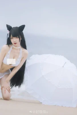 Azur Lane Atago Dog @封疆疆v (9 photos)