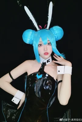 Hatsune Miku @Star-Makko's current girlfriend (10 photos)