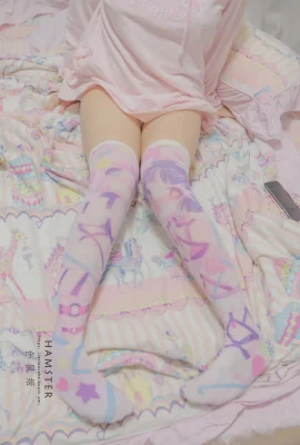 HAMSTERS Hamster Ji’s Home Girlfriend 1 (23 Photos)