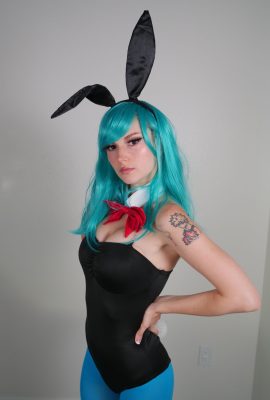 Busy B – Bulma