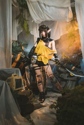 Three unmanned types – Anaconda Seiichi