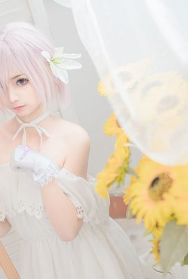 Meow Sugar Movie – shielder casual
