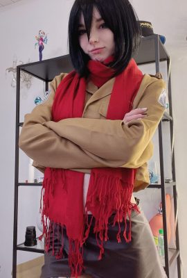 Carnet Bandi – Mikasa