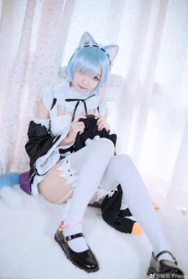 Re: Life in a Different World from Zero Rem cat ears @绿茄子nasu (9 photos)