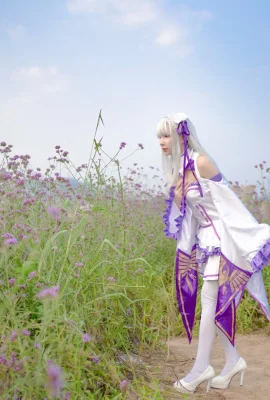 Re: Life in a Different World from Zero Emilia @妍子坚不破 (9 photos)