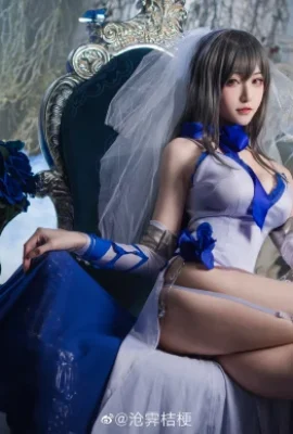 “Azur Lane” Louis IX's Paladin cosplay in gorgeous costumes[CN: Cangji Kikyo](16 photos)