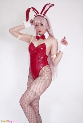 Annchirisu – Zero Two Bunny Suit