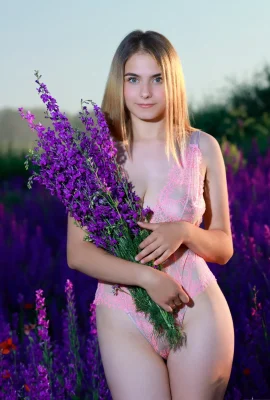 Dakota Pink – Lavender Fields (125 Photos)