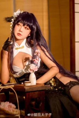 Azur Lane My Wife @猫田太子子 (9 photos)