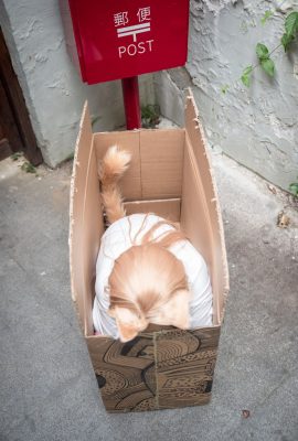 Orange Meow-chan – A day in the life of Meow-chan (9P)