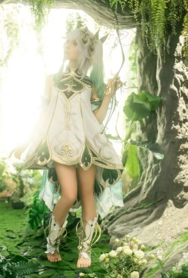 Silly Momo – King of the Great Ci Tree